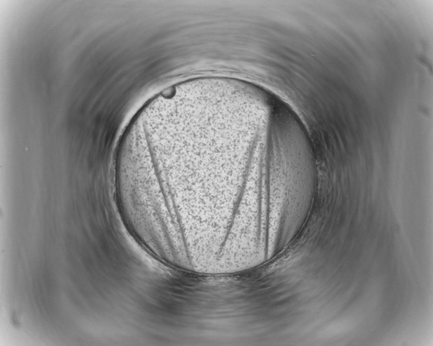 X0000096731531200802261440