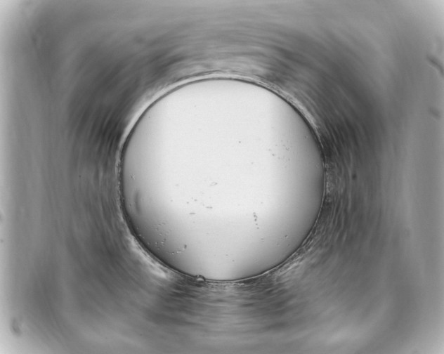 X0000096731532200802261440