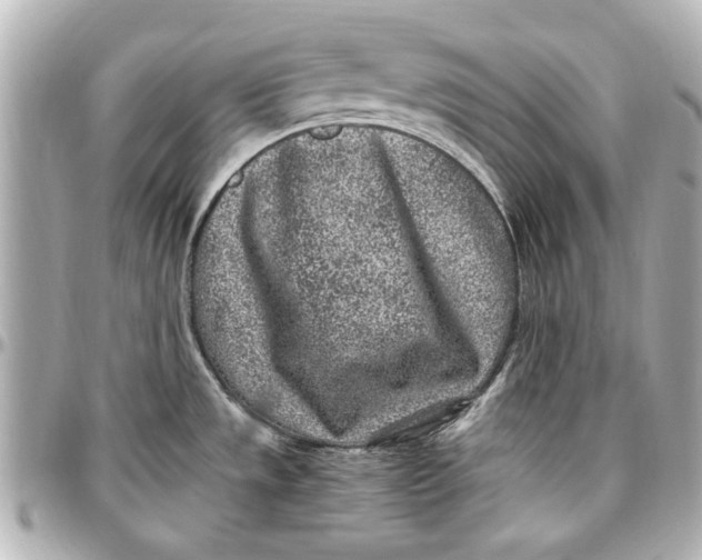 X0000096731533200802261440