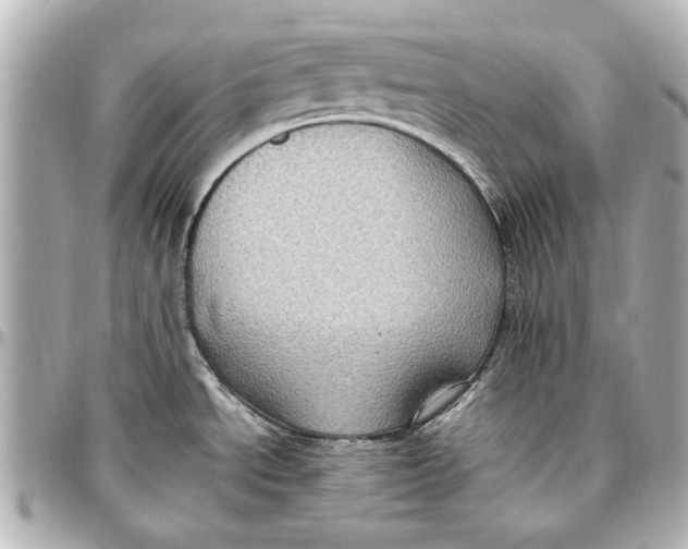 X0000096731534200802261440