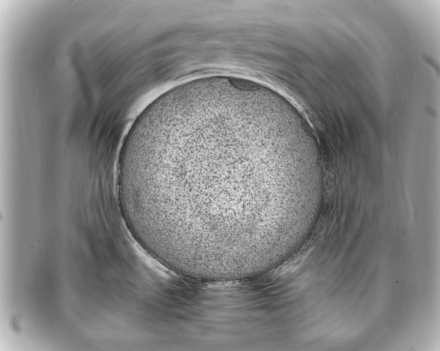 X0000096731535200802261440