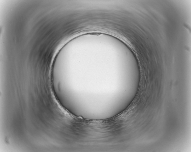 X0000096731536200802261440