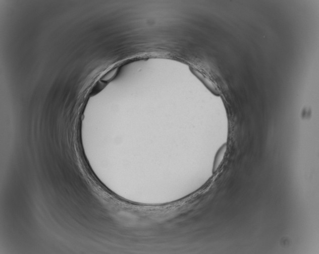 X0000096730001200803041232