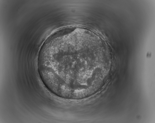 X0000096730002200803041232