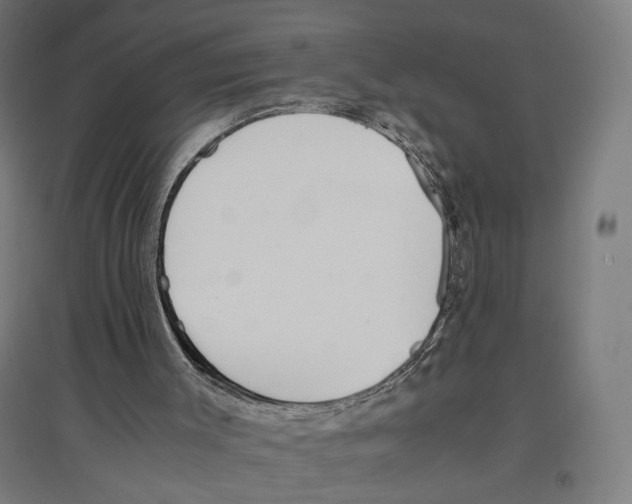 X0000096730003200803041232