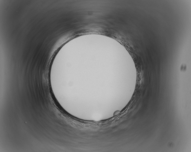 X0000096730004200803041232