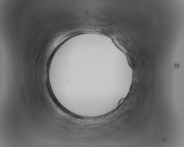 X0000096730005200803041232