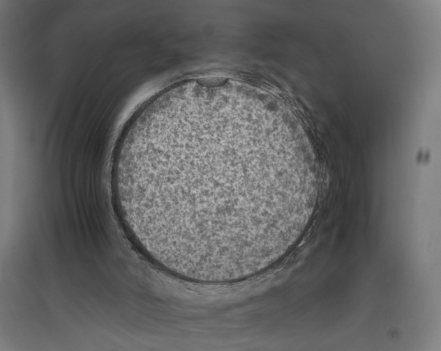 X0000096730006200803041232