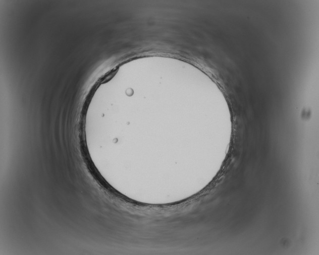 X0000096730007200803041232