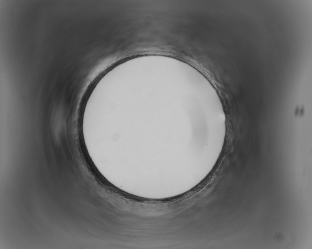 X0000096730008200803041232