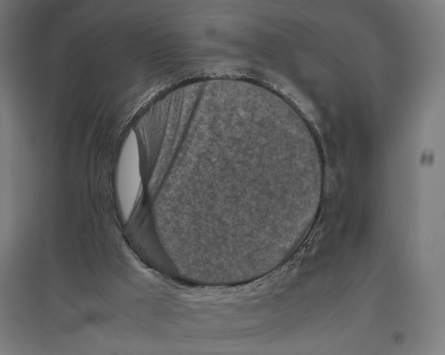 X0000096730009200803041232