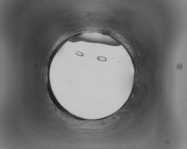 X0000096730011200803041232