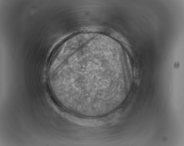 X0000096730012200803041232