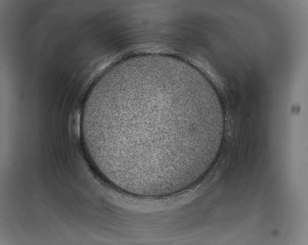 X0000096730014200803041232