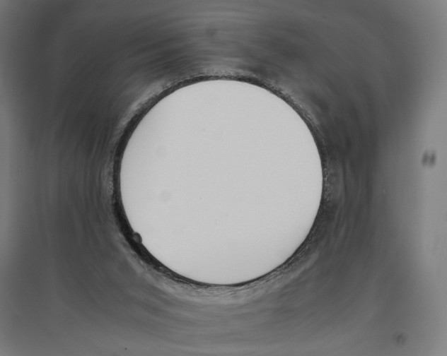 X0000096730015200803041232
