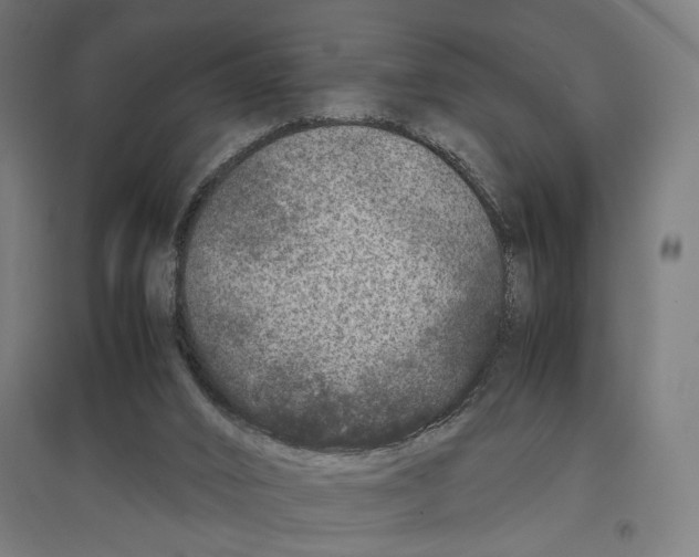 X0000096730016200803041232