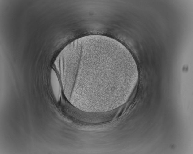 X0000096730017200803041232