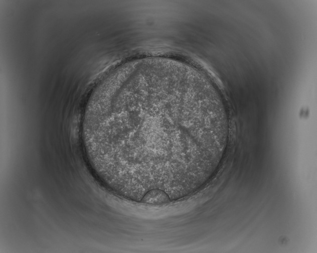 X0000096730018200803041232