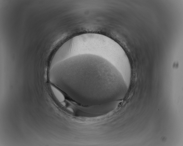 X0000096730019200803041232