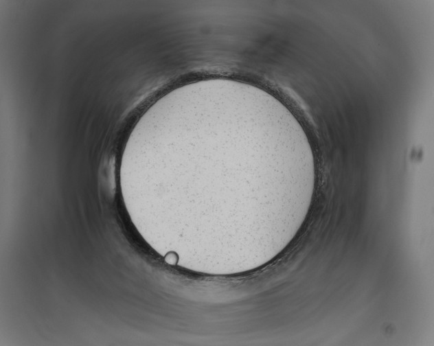 X0000096730020200803041232