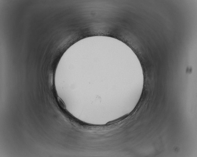 X0000096730021200803041232