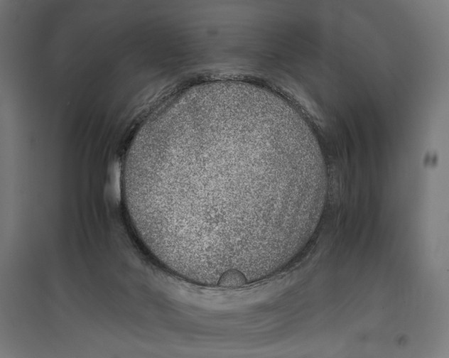 X0000096730022200803041232