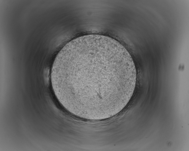 X0000096730024200803041232