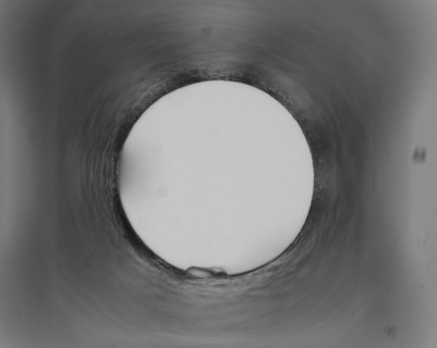 X0000096730025200803041232