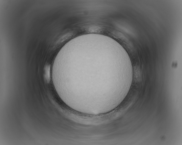 X0000096730028200803041232