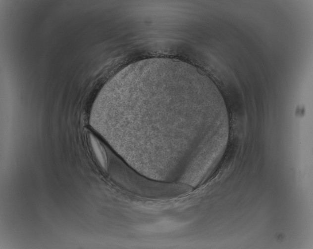 X0000096730029200803041232