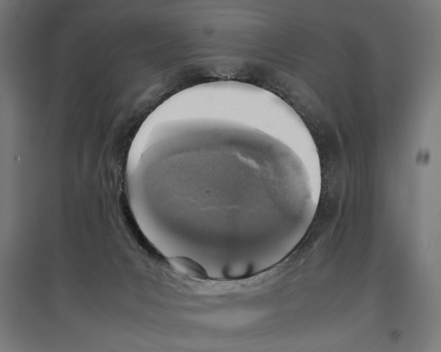X0000096730031200803041232
