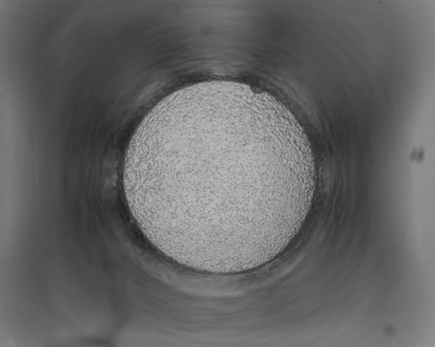 X0000096730032200803041232