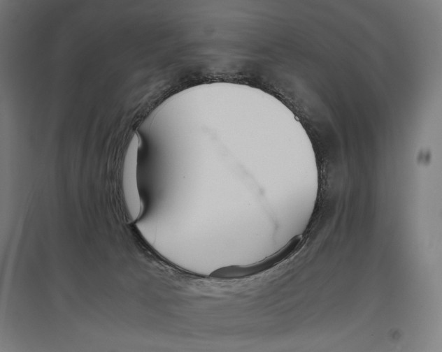 X0000096730033200803041232