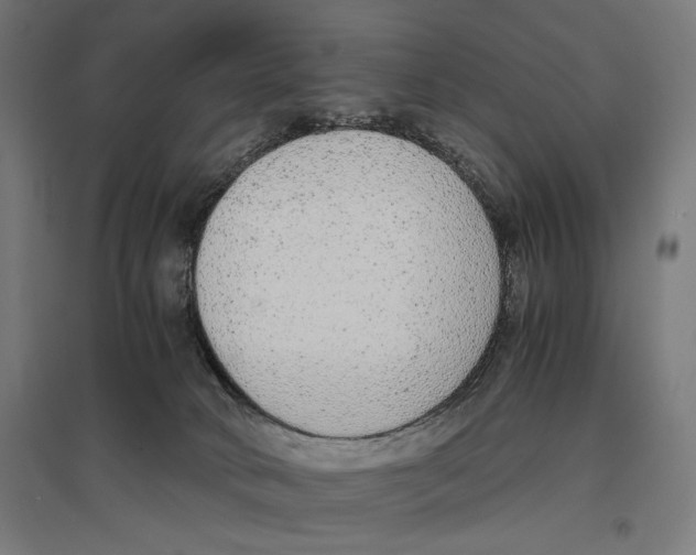 X0000096730034200803041232