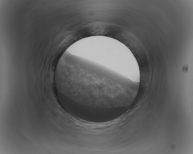 X0000096730035200803041232