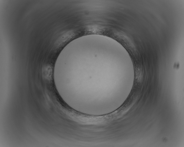 X0000096730036200803041232