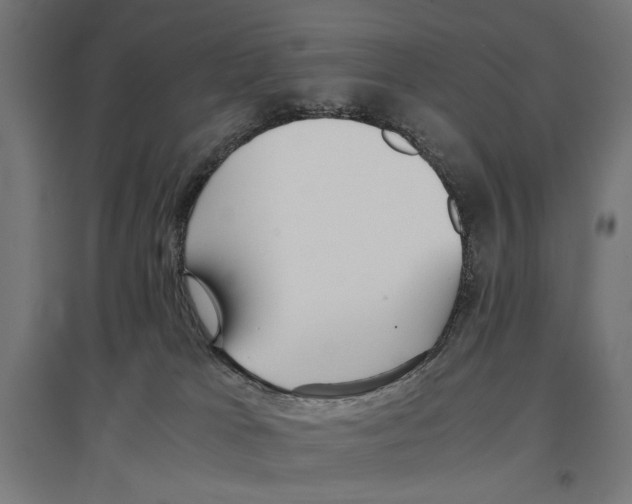 X0000096730037200803041232