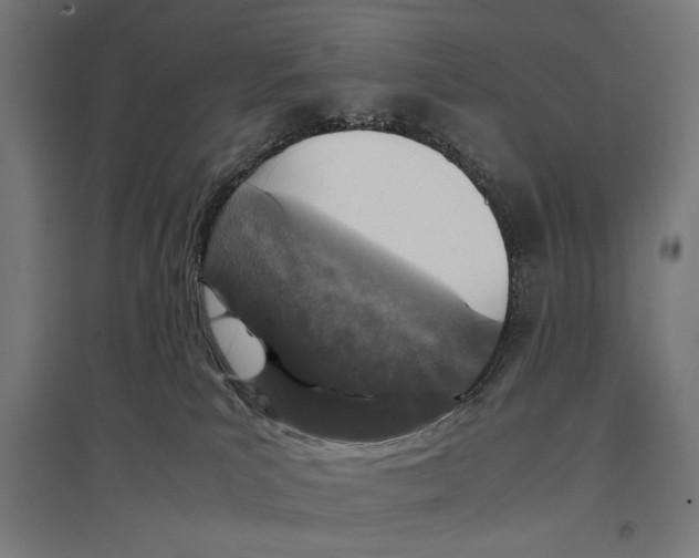 X0000096730039200803041232
