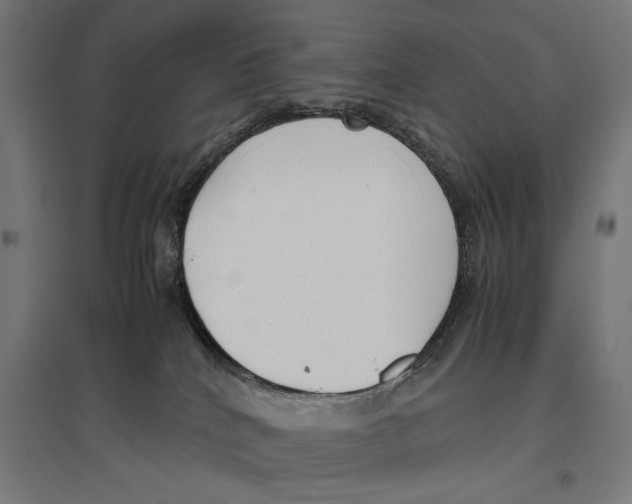 X0000096730040200803041232
