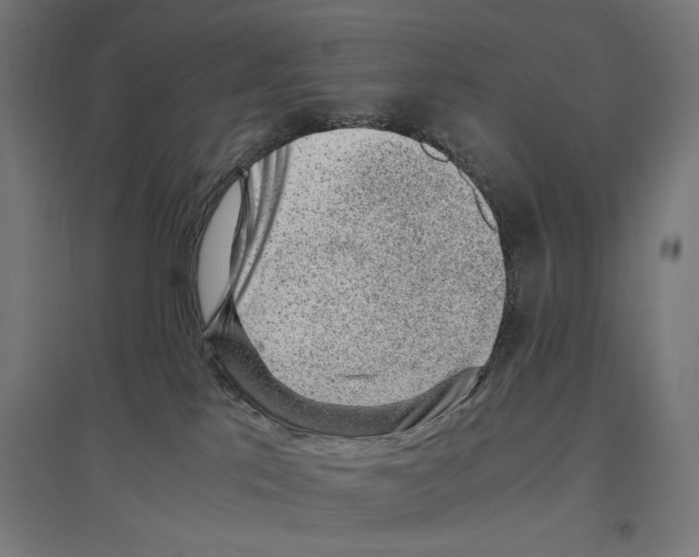 X0000096730041200803041232