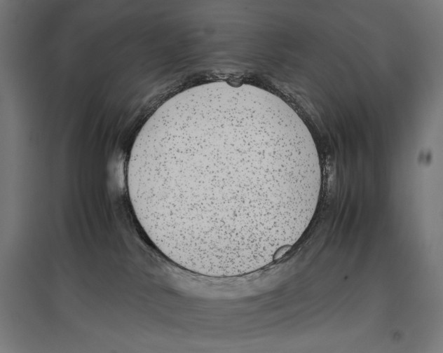 X0000096730042200803041232