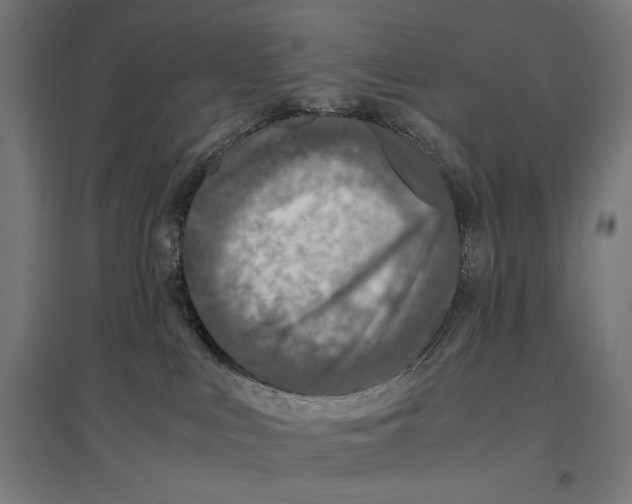 X0000096730043200803041232