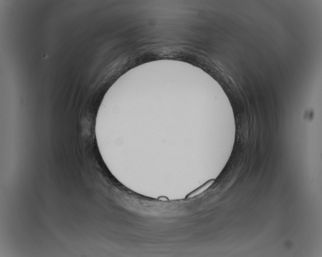 X0000096730044200803041232