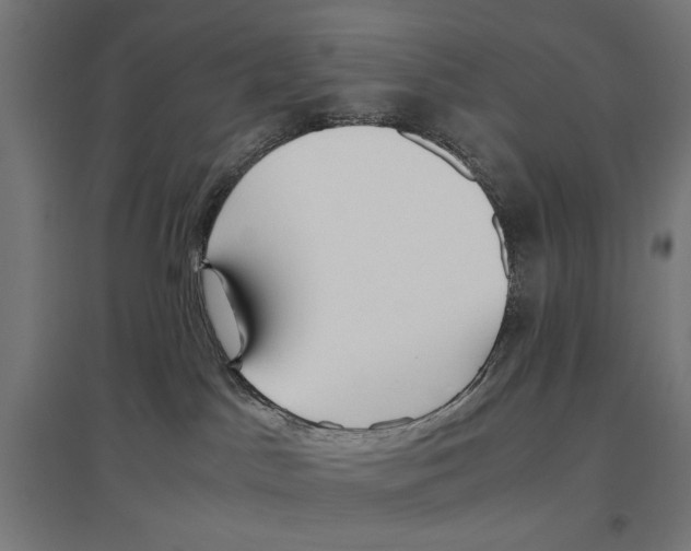 X0000096730045200803041232