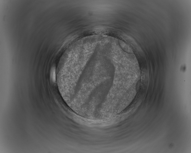 X0000096730046200803041232