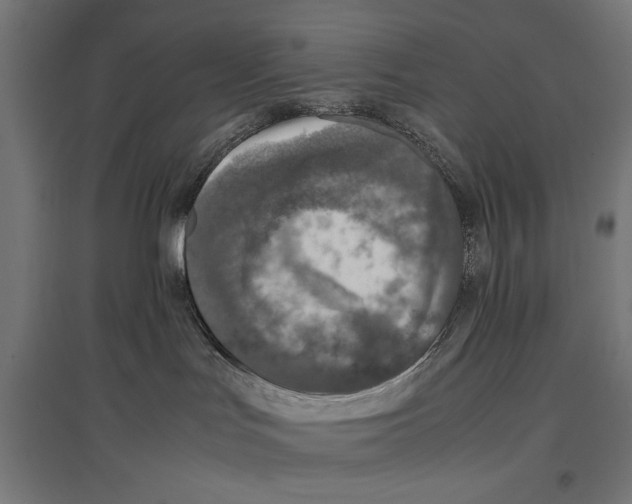 X0000096730047200803041232