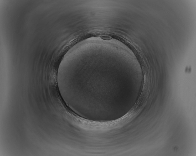 X0000096730048200803041232