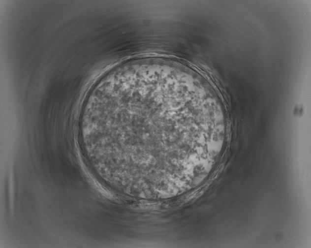 X0000096730049200803041231