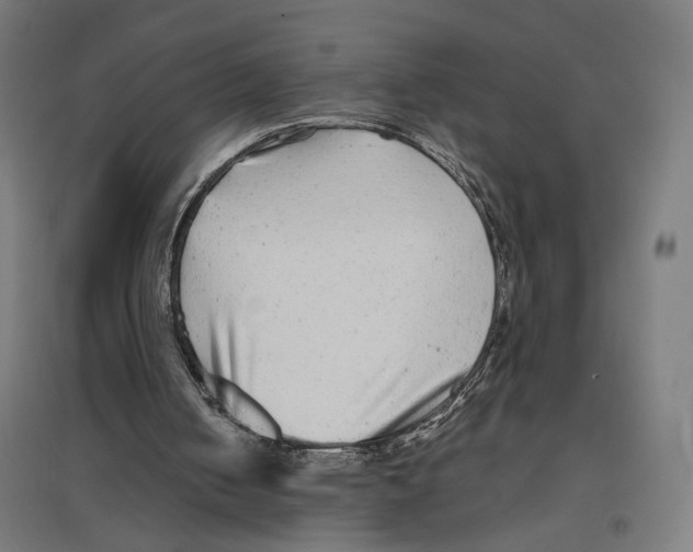 X0000096730050200803041231