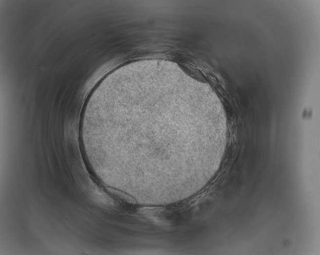 X0000096730051200803041231